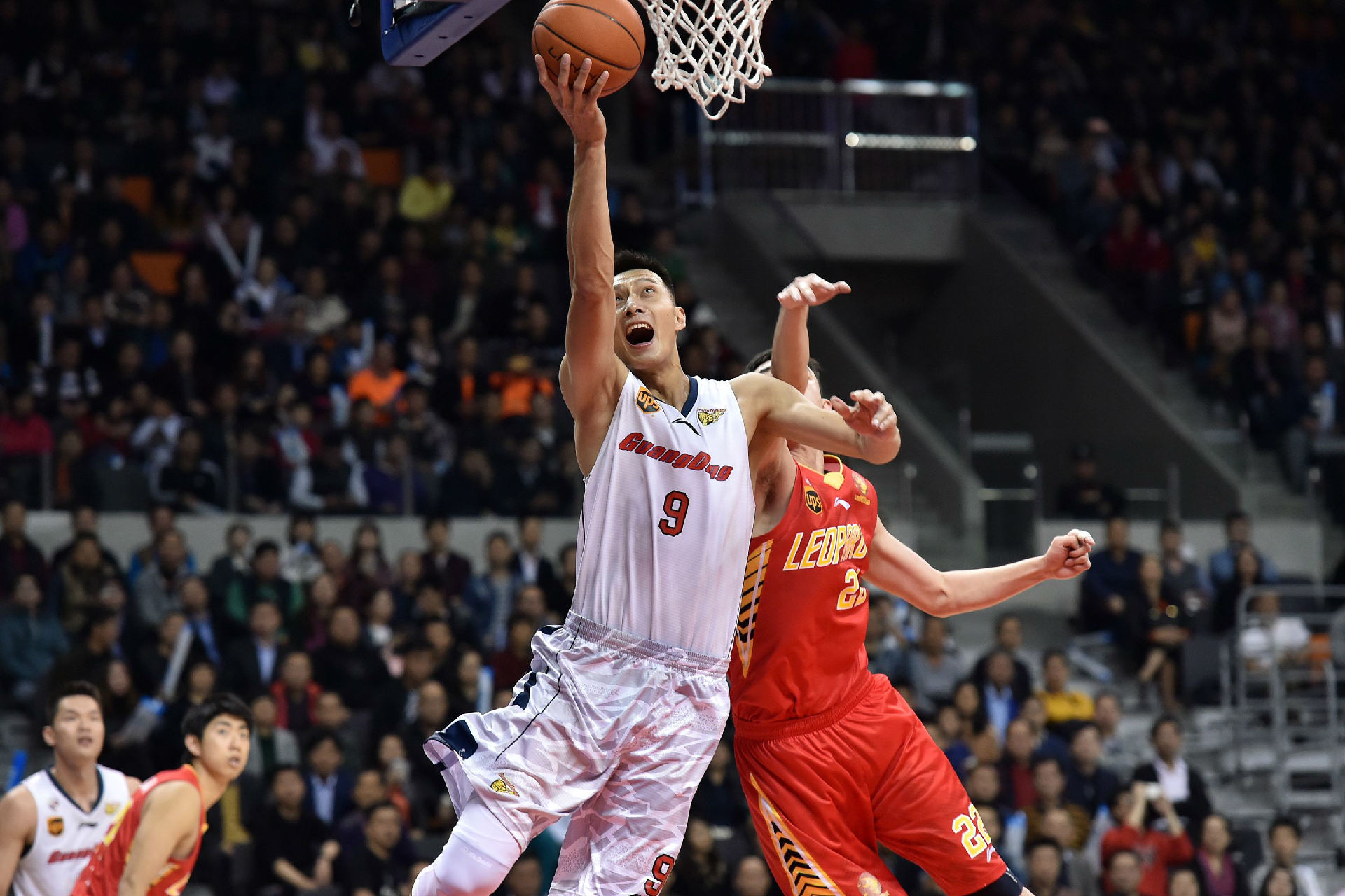 威利普斯的 威利普斯的