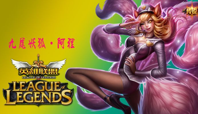 的风险收益 的风险收益